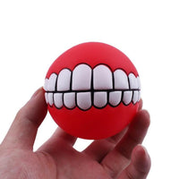 Squeaky Dog Ball Toy for Fetch and Chew - Funny Pet Puppy Toy with Squeaker Sound