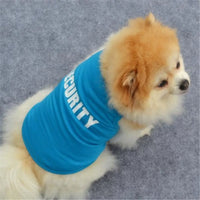 "Adorable Dog Print Pullover – Cozy Winter Sweater for Small Dogs & Cats – Stylish Blue Jacket"