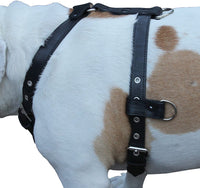 Genuine Leather Dog Harness   