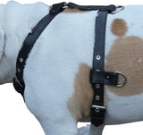 Genuine Leather Dog Harness   