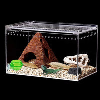 Chameleon, Lizard, Bearded Dragons and Geckos Feeding Bowl & Water Dish with Suction Cup   Pets Feeding Bowl