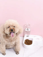 1Pc Dog & Cat Automatic Feeder with Drinking Bottle   