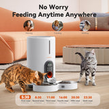 Automatic 2 Cats or Dogs Dispenser Feeders            