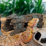 "Jungle Oasis Resin Hide Cave for Reptiles: Perfect for Bearded Dragons, Geckos, and More!"