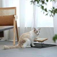 Tilted Elevated Cat and Dog Feeding Bowls Set with Stylish Bamboo Stand 