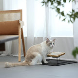 Tilted Elevated Cat and Dog Feeding Bowls Set with Stylish Bamboo Stand 