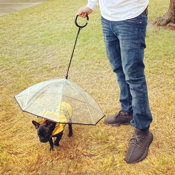 Dog Umbrella, flexible handle umbrella for Dog 