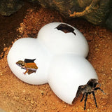 "3-in-1 Reptile Hideaway: Cave, Eggshell Decor, & Pet Case for Turtles, Lizards, and Snakes"