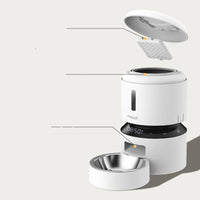 Automatic Cat and Small Dog Feeder Dispenser 