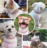 "Stylish Pink Spiked Leather Dog Collar - Adjustable & Soft for Small Breeds like Chihuahua, Yorkshire, Shih Tzu & More!"