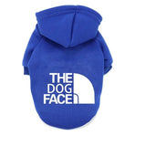 Dog Couture: Stylish Clothing for Large and Small Dogs