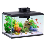 10-Gallon Glass Aquarium Starter Kit