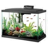 20 Gallon Aquarium Starter Kit with LED Lighting and 20 High Glass