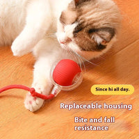 "Automatic Interactive Cat Toy: USB Rechargeable Rolling Ball Teaser for Playful Cats & Kittens!"