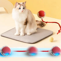 "Automatic Interactive Cat Toy: USB Rechargeable Rolling Ball Teaser for Playful Cats & Kittens!"