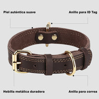 Leather Heavy Duty Dog Collar for Large Dogs - Brown