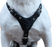 Genuine Leather Dog Harness   