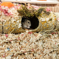 Build Your Own Unique T-Shape Hamster Tunnel - Perfect DIY Hideout for Small Pets!