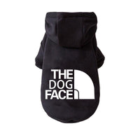 Dog Couture: Stylish Clothing for Large and Small Dogs