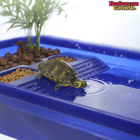 Acrylic Reptile Breeding Habitat Kit - Turtle, Lizard, and More!