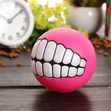 Squeaky Dog Ball Toy for Fetch and Chew - Funny Pet Puppy Toy with Squeaker Sound