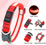 Professional title: "Small Size Red USB Rechargeable LED Dog Collar with Adjustable Brightness"