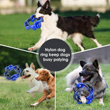 Tough Dog Chew Toy Ring for Aggressive Chewers