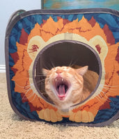 Jungle Cat Cube Combo: Ultimate Collapsible Cat Bed, Tunnel & Toy Set