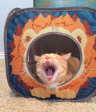 Jungle Cat Cube Combo: Ultimate Collapsible Cat Bed, Tunnel & Toy Set