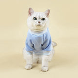 Cute Cat Sweaters 