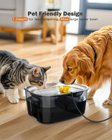 Ultimate 2-Gallon Dog Water Fountain & Food Bowl Dispenser