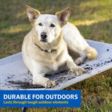 Original Cooling Elevated Dog Bed - Medium, Indoor & Outdoor