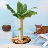 "Cactus Cat Scratching Post with Sisal Rope and Teaser Ball for Kittens and Cats"