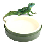 Reptile Feeding & Water Dish - Reusable Tortoise & Bearded Dragon Feeder 