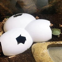 "3-in-1 Reptile Hideaway: Cave, Eggshell Decor, & Pet Case for Turtles, Lizards, and Snakes"