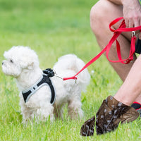 "Convenient Dog Waste Bags Bundle for Clean and Easy Outdoor Adventures!"