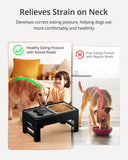 Adjustable Elevated Dog Bowls Stand with No-Spill Water Bowl and Stainless Steel Food Bowl for Large Dogs