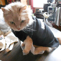 Stylish Black Cotton Security Dog & Cat Shirt - Summer T-Shirt for Dog & Cat 