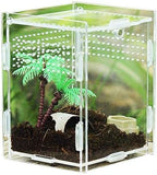 Acrylic Reptile Breeding Box with Magnetic Closure and 360 Degree Visibility