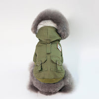 Stylish Cap Dog Coat for Trendy Dogs. 