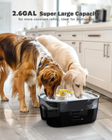 Ultimate 2-Gallon Dog Water Fountain & Food Bowl Dispenser