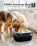 Ultimate 2-Gallon Dog Water Fountain & Food Bowl Dispenser