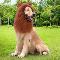 "Realistic Lion Mane Costume for Medium to Large Dogs - Perfect for Halloween Fun!"