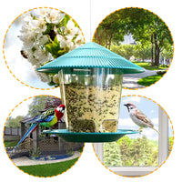 Deluxe Automatic Outdoor Bird Feeder - Hanging Wild Bird Seed Dispenser for Your Garden