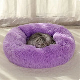 "Cozy Haven: Large Square Plush Pet Bed for Dogs and Cats"