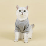 Cute Cat Sweaters 