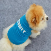 "Adorable Dog Print Pullover – Cozy Winter Sweater for Small Dogs & Cats – Stylish Blue Jacket"