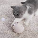 Engaging Playful Paws Interactive Cat Toy for Endless Fun