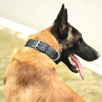 Tactical Heavy Duty Nylon Large Dog Collar with Metal Buckle - 2" Wide