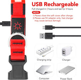 Professional title: "Small Size Red USB Rechargeable LED Dog Collar with Adjustable Brightness"